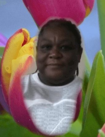 Vogentina Laverne Williams Obituary