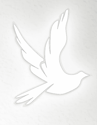 Linwood Phillip Collins Obituary
